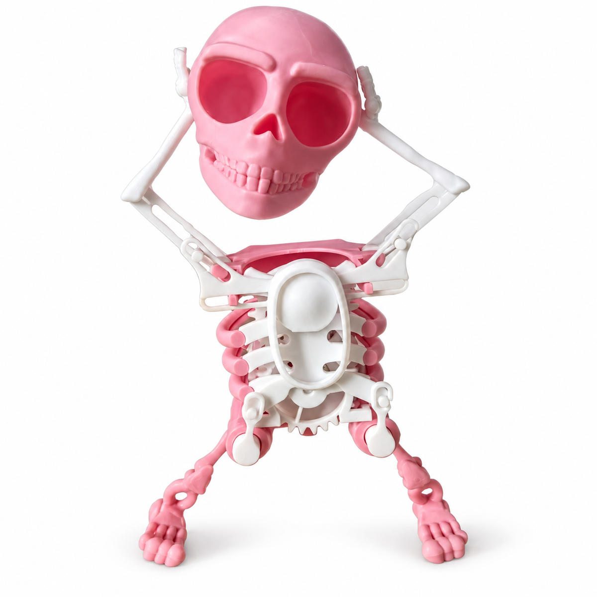 Tanzendes Skelett zum Aufziehen – Dancing Skeleton, lustige Wackelfigur, Halloween-Deko und Schreibtisch-Gadget, Grün, Lila, Weiß oder Rosa