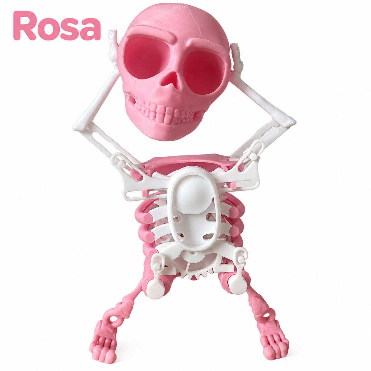 Tanzendes Skelett zum Aufziehen – Dancing Skeleton, lustige Wackelfigur, Halloween-Deko und Schreibtisch-Gadget, Grün, Lila, Weiß oder Rosa