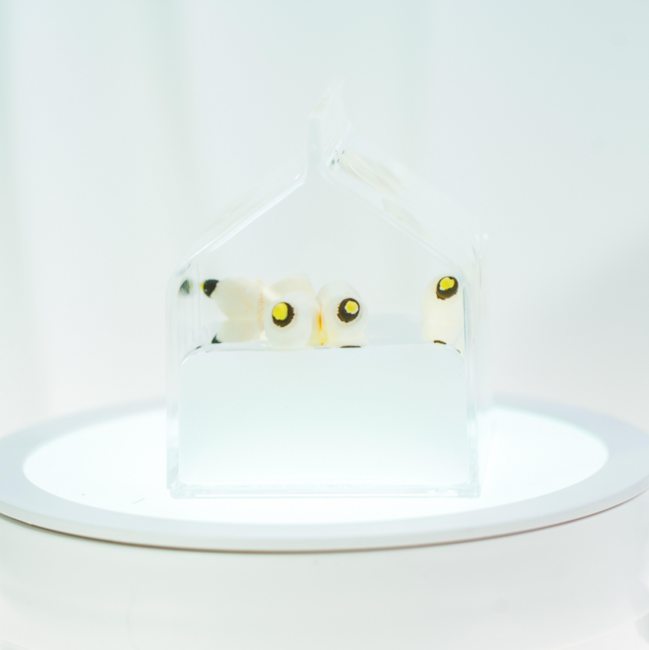 【Live】Sandhaus KiKi Blind Box Mystery Box Geschenk Idee